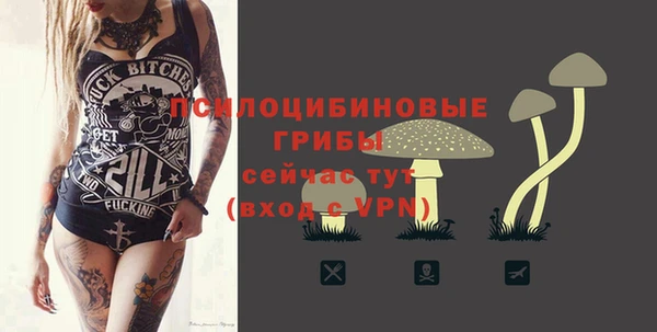 спиды Алзамай