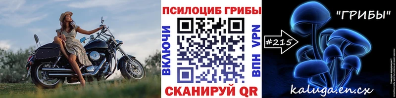 kraken маркетплейс  Любань  Псилоцибиновые грибы мицелий  купить наркоту 